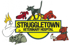 Struggletown Vet Hospital