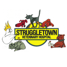 (c) Struggletownvet.com.au